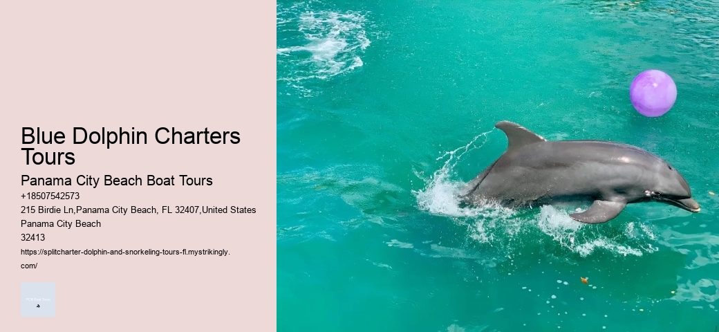 What Cruise Can You Swim With Dolphins