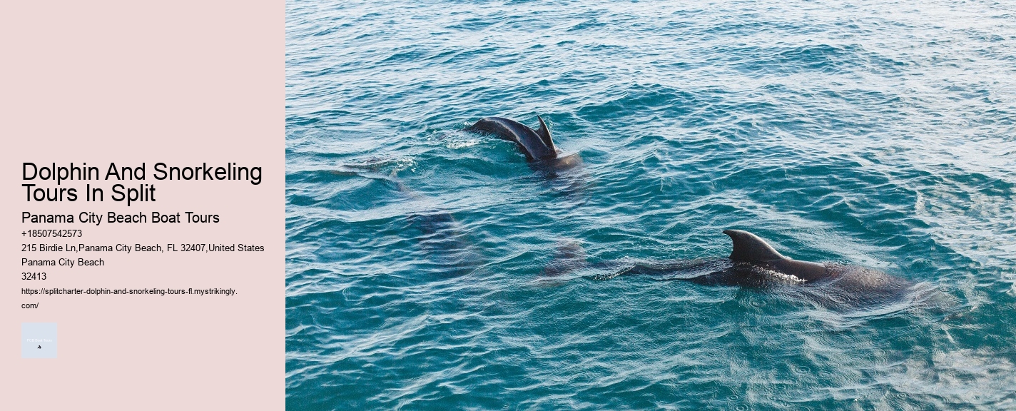 Dolphin And Snorkeling Tours In Split