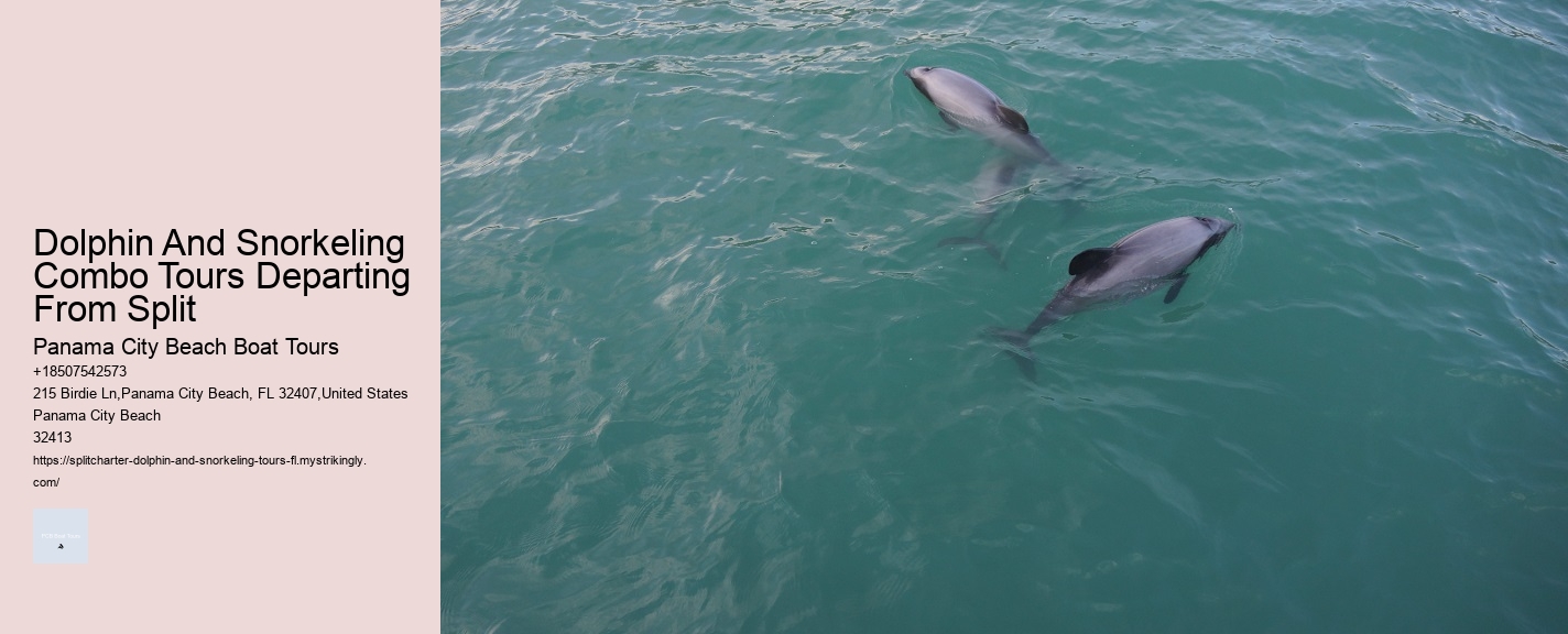 Dolphin And Snorkeling Combo Tours Departing From Split
