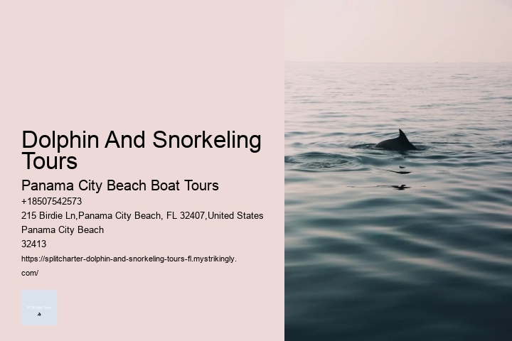 Dolphin And Snorkeling Tours