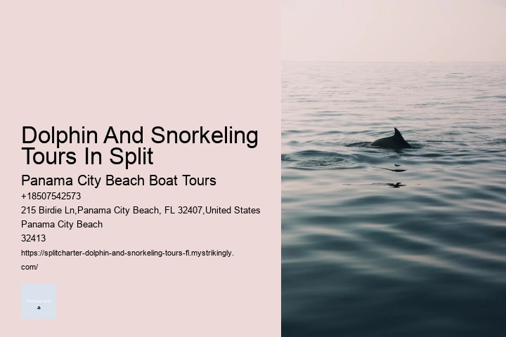 What Do You Wear On A Dolphin Boat Trip