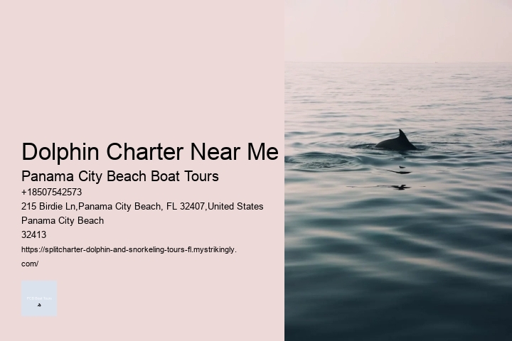 Dolphin Charter Near Me