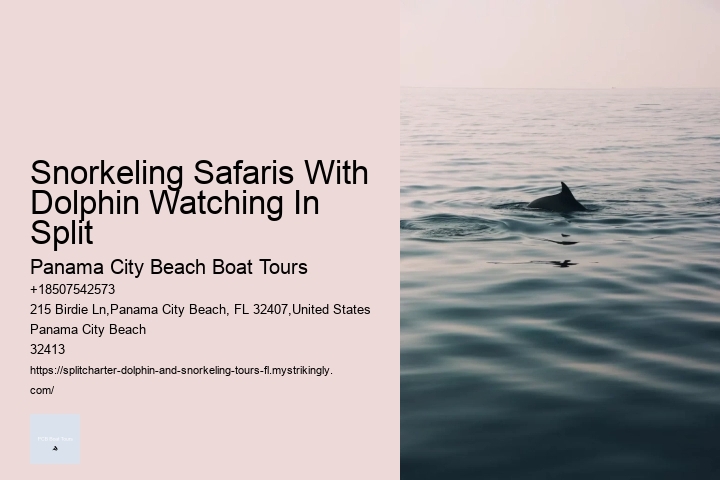 Snorkeling Safaris With Dolphin Watching In Split