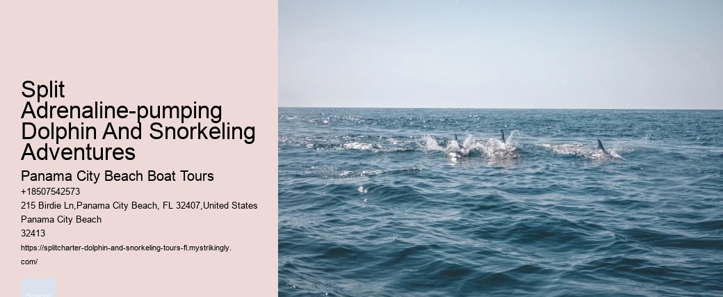 Split Snorkeling Expeditions With Dolphin Watching Included