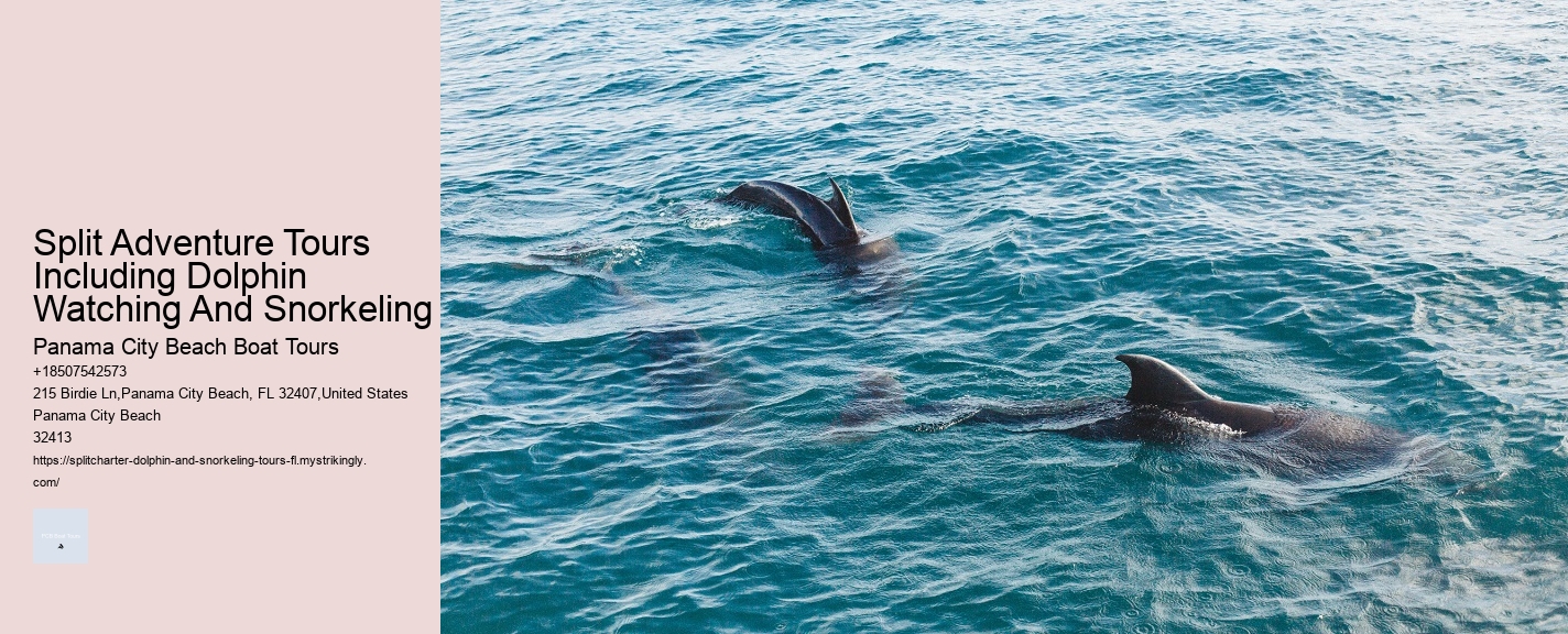 Split Adventure Tours Including Dolphin Watching And Snorkeling