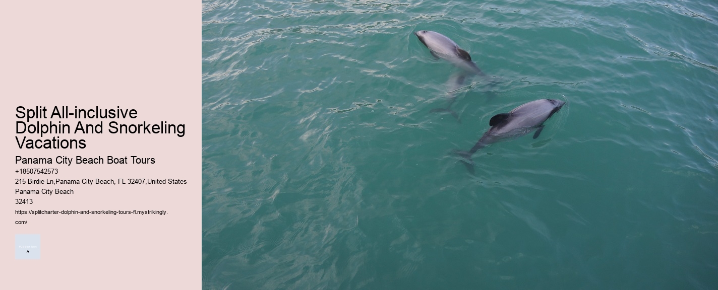 Split All-inclusive Dolphin And Snorkeling Vacations