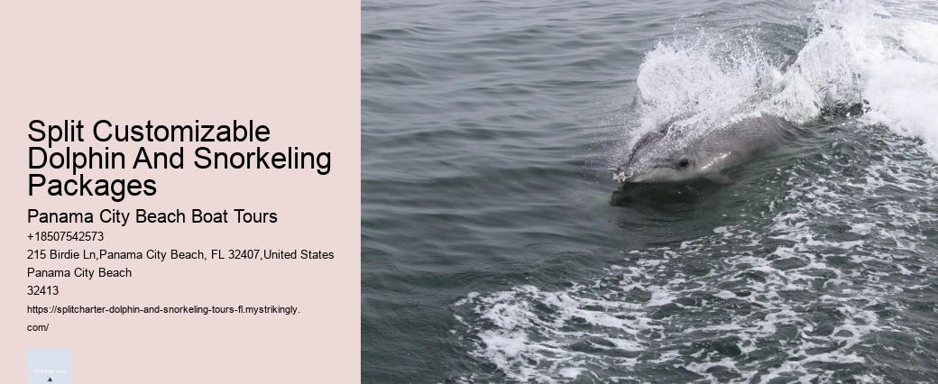 Split Snorkeling And Dolphin Sightseeing Expeditions