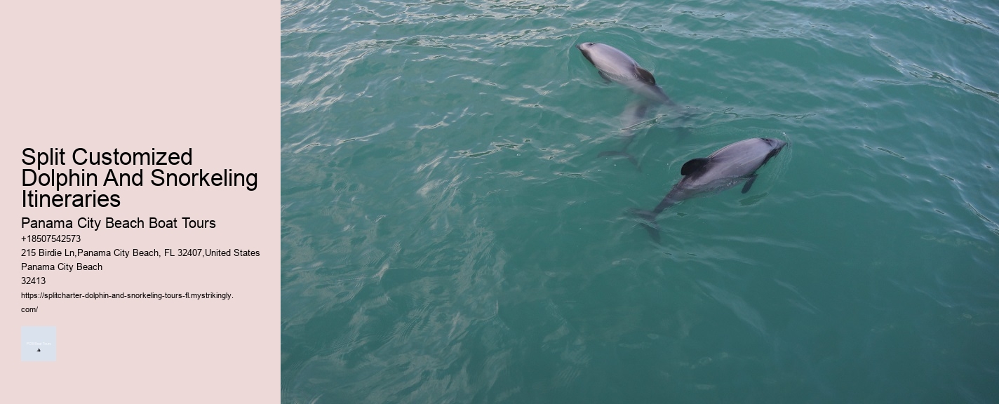 Split Customized Dolphin And Snorkeling Itineraries