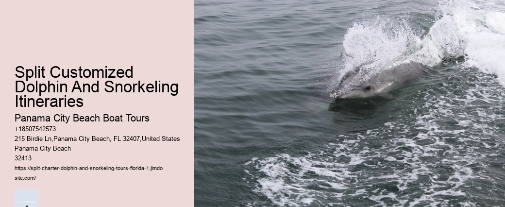 Split Coastal Tours With Dolphin Spotting And Snorkeling