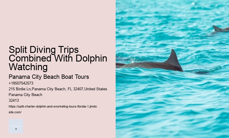 Split Dolphin Tour