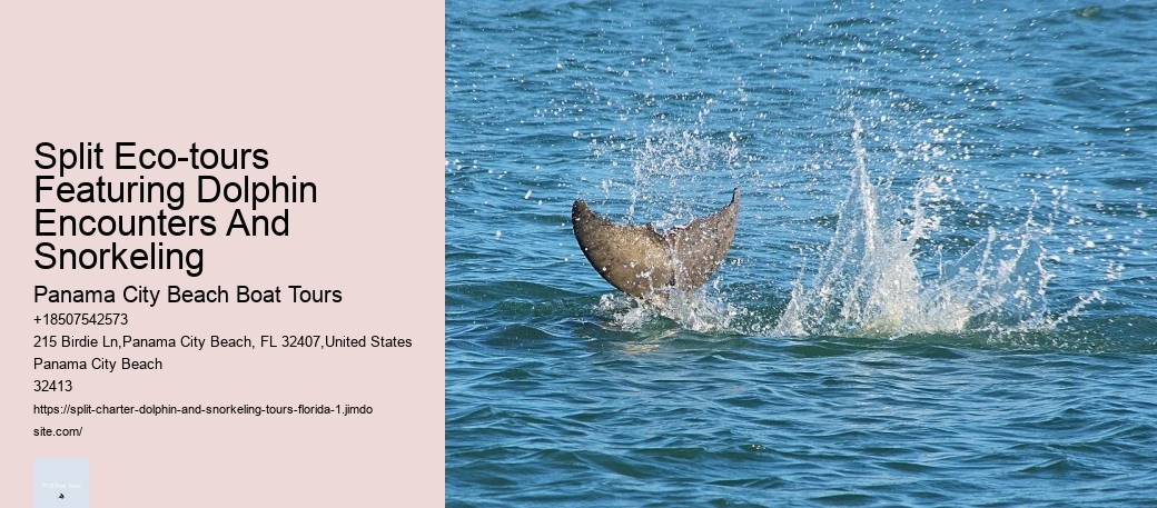 Unlimited Shore Diving