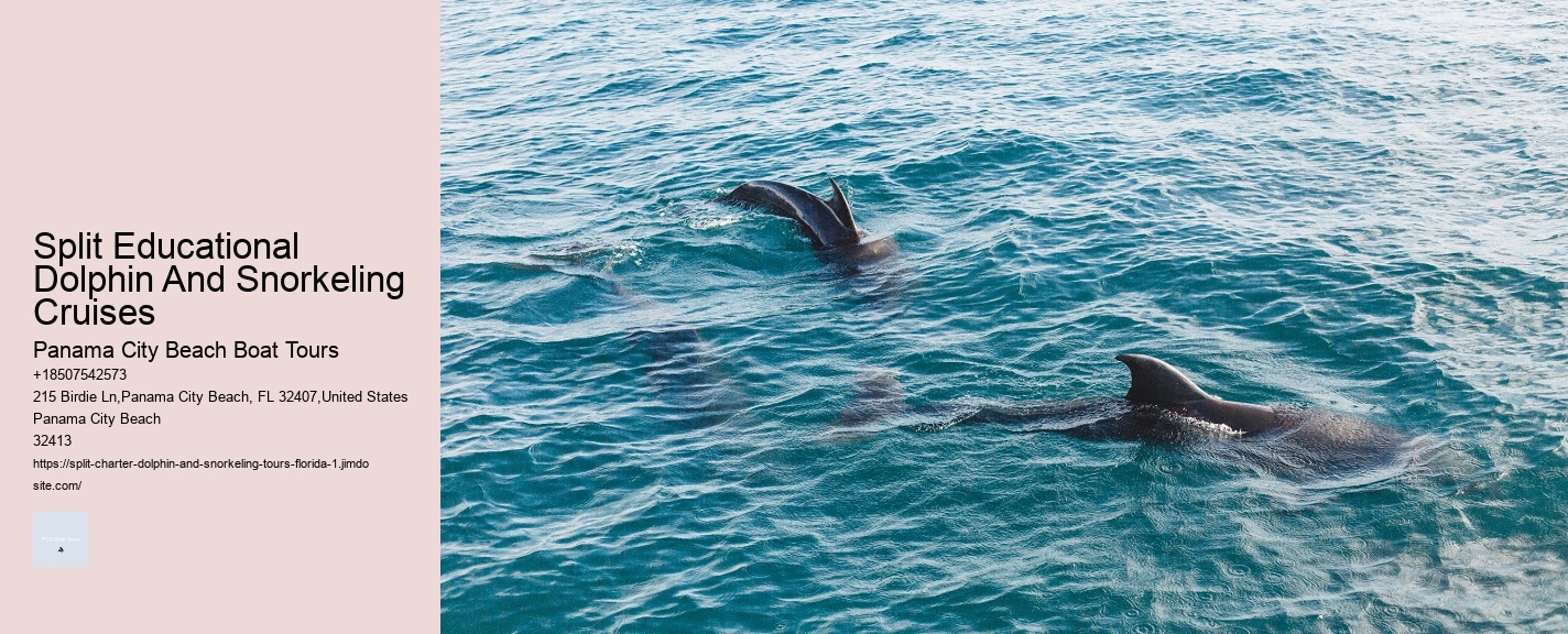Split Educational Dolphin And Snorkeling Cruises
