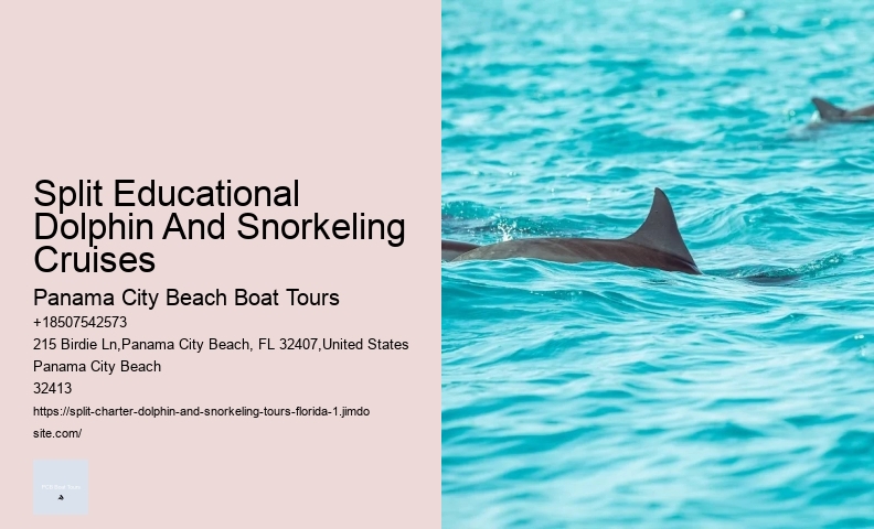 Why Do Dolphins Swim In Front Of Cruise Ships