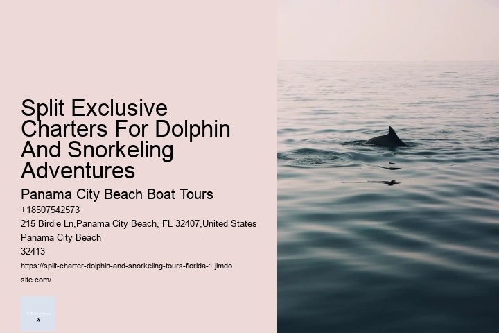 Split Exclusive Charters For Dolphin And Snorkeling Adventures