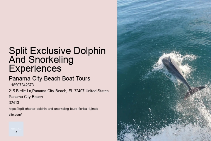 Split Sunset Dolphin Cruises With Snorkeling