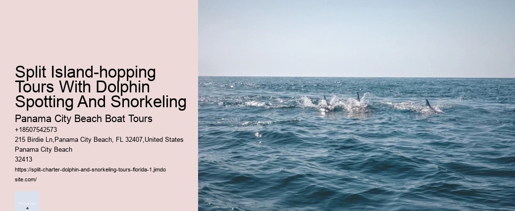 Are Sharks Scared Of Dolphins