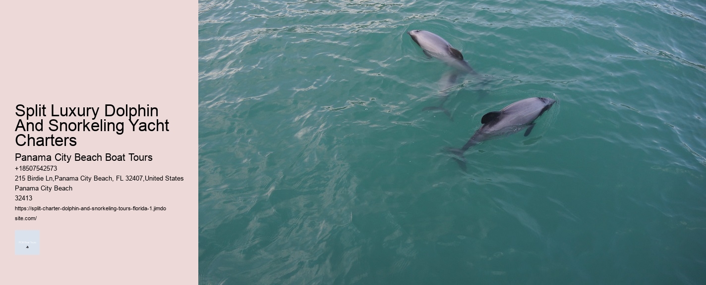 Split Luxury Dolphin And Snorkeling Yacht Charters