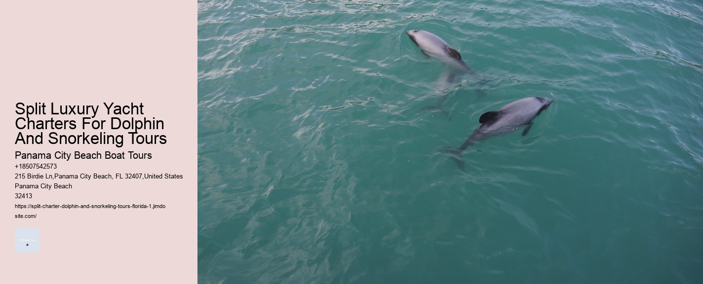 Split Luxury Yacht Charters For Dolphin And Snorkeling Tours