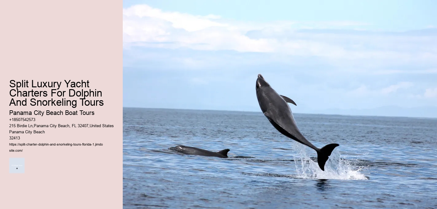 Dolphins Are Bullies: 7 Shocking Reasons Why