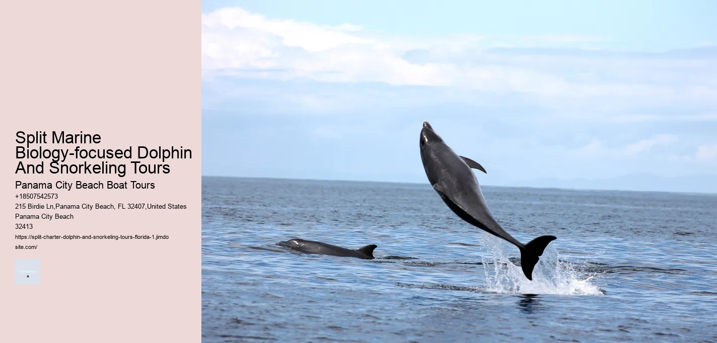 What Are Dolphins Worst Enemies