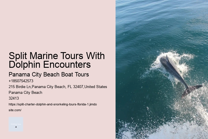 Do You Get Wet On A Dolphin Cruise