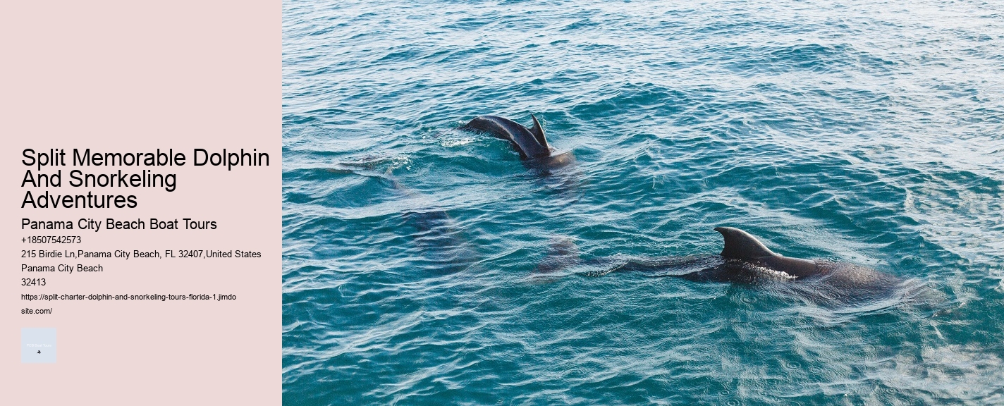 Split Memorable Dolphin And Snorkeling Adventures