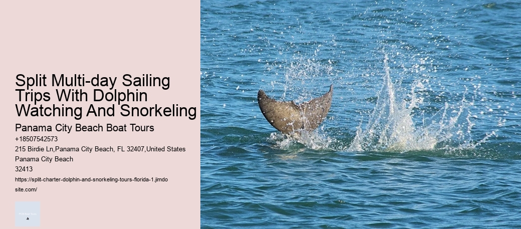 Split Multi-day Sailing Trips With Dolphin Watching And Snorkeling