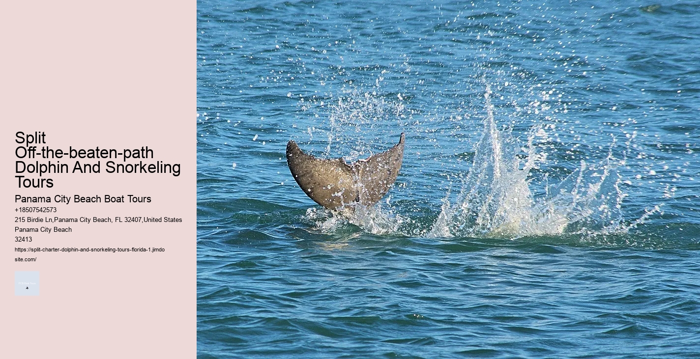 Diving With Dolphins