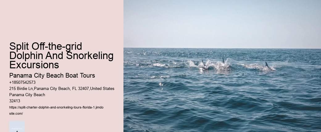 Split Off-the-grid Dolphin And Snorkeling Excursions