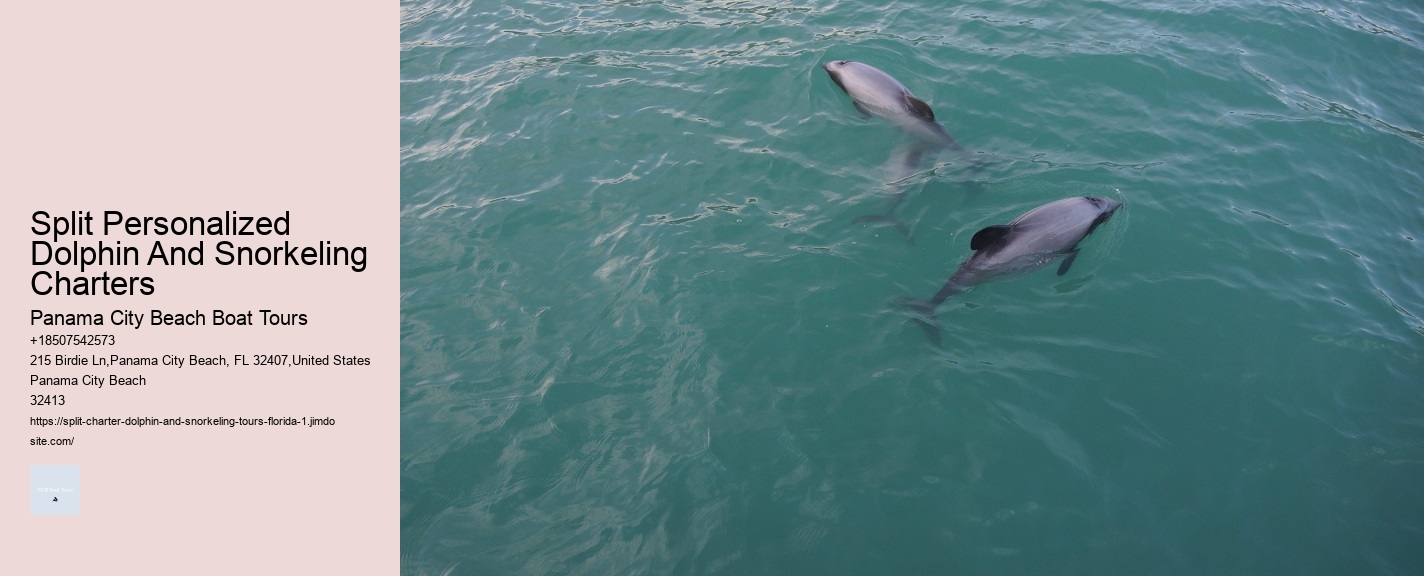 Split Personalized Dolphin And Snorkeling Charters