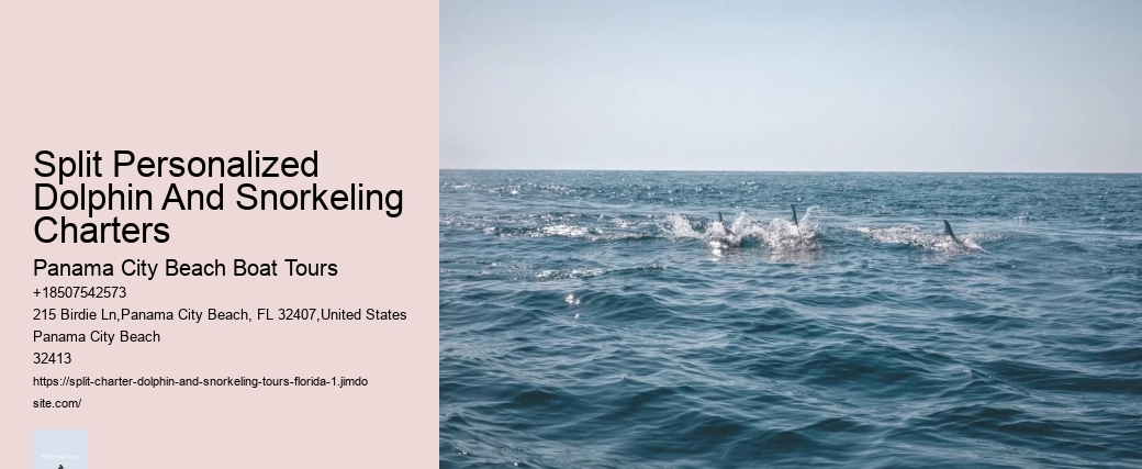 Do Dolphins Befriend Humans