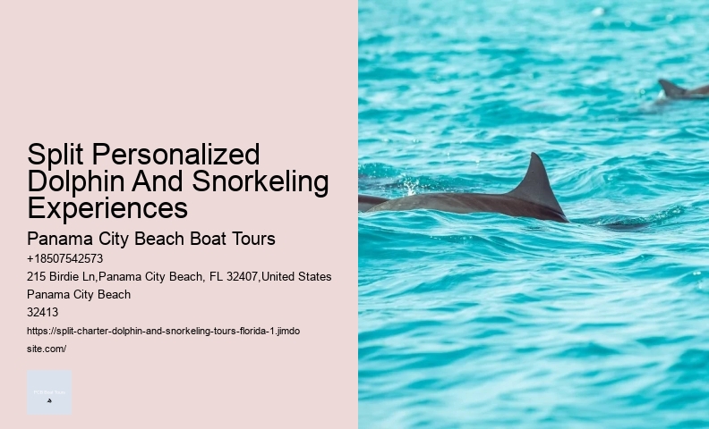 Is There A Weight Limit For Swimming With Dolphins