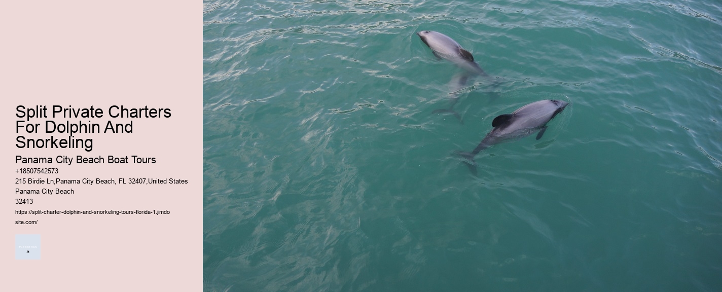 Split Private Charters For Dolphin And Snorkeling