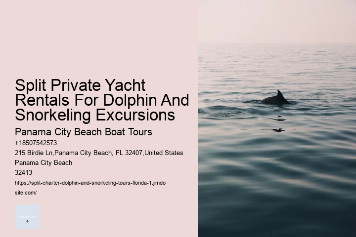 Split Private Yacht Rentals For Dolphin And Snorkeling Excursions