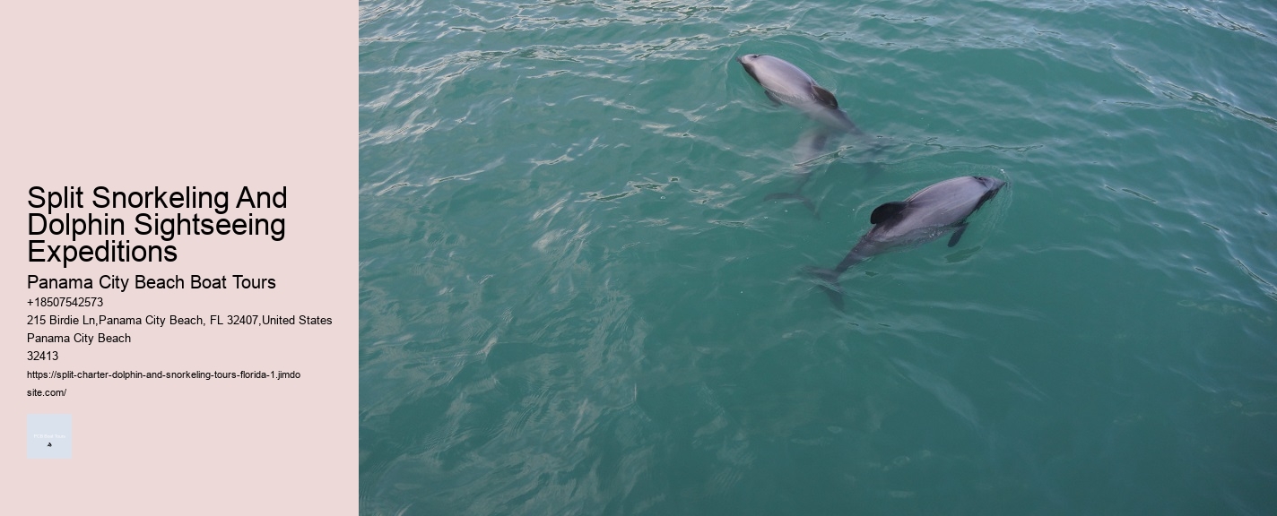 Jet Ski Dolphin Tours Near Me